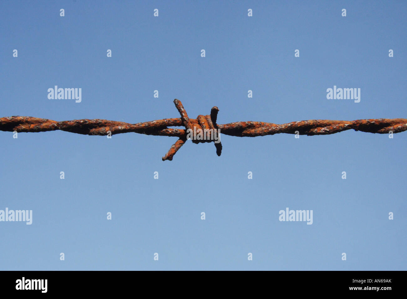 Rusty barbed wire Stock Photo Alamy