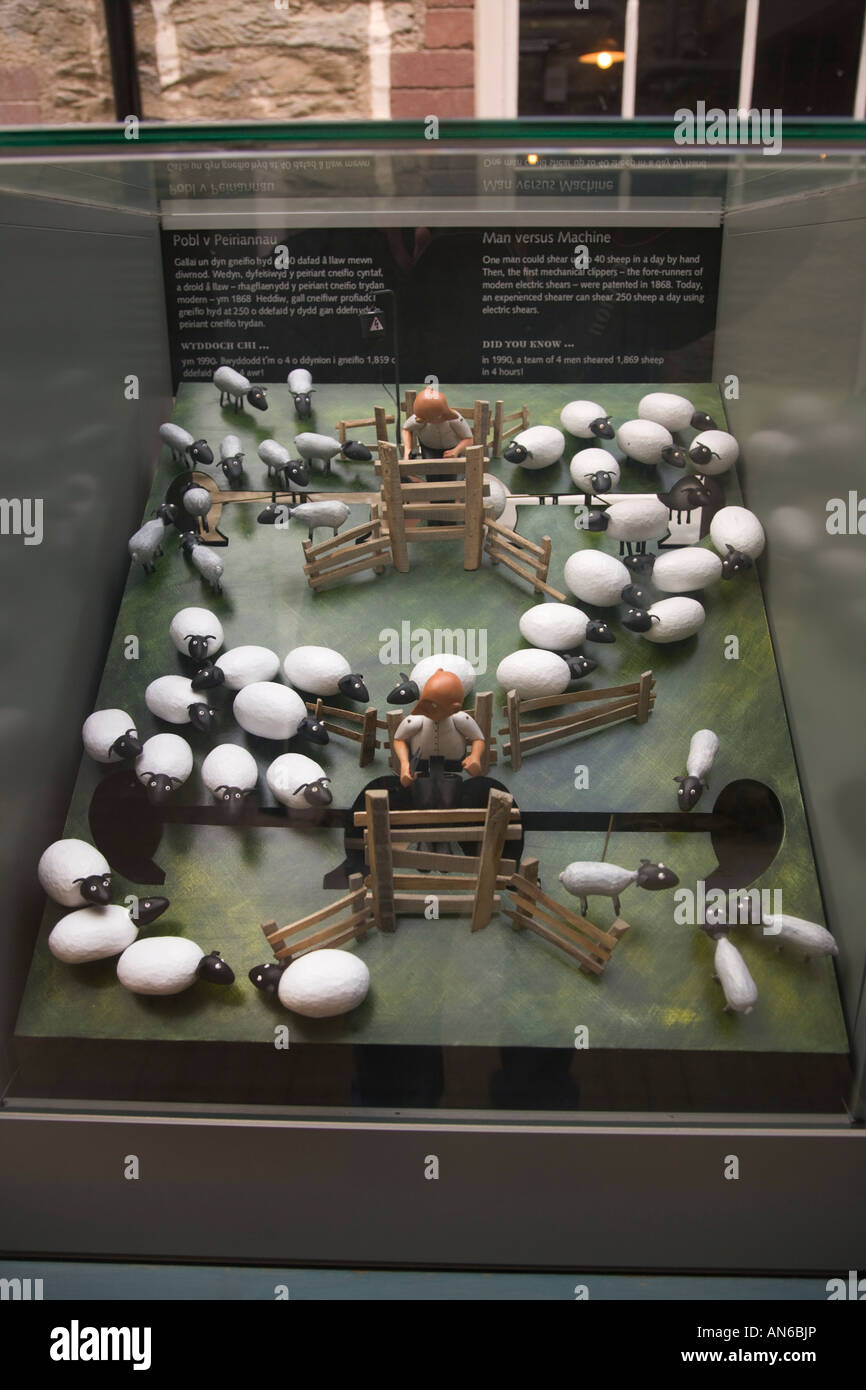 National Wool Museum Llandysul Wales automaton of sheep shearing Stock