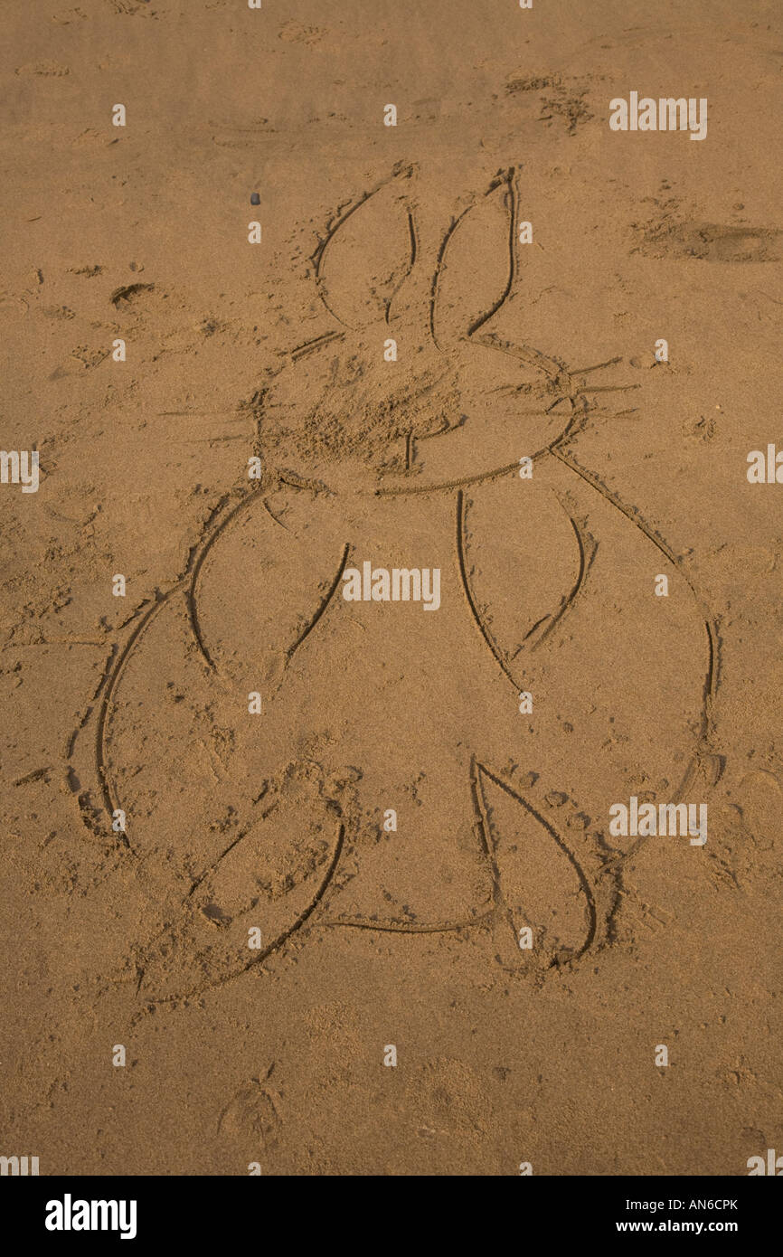 Beach bunny hi-res stock photography and images - Alamy