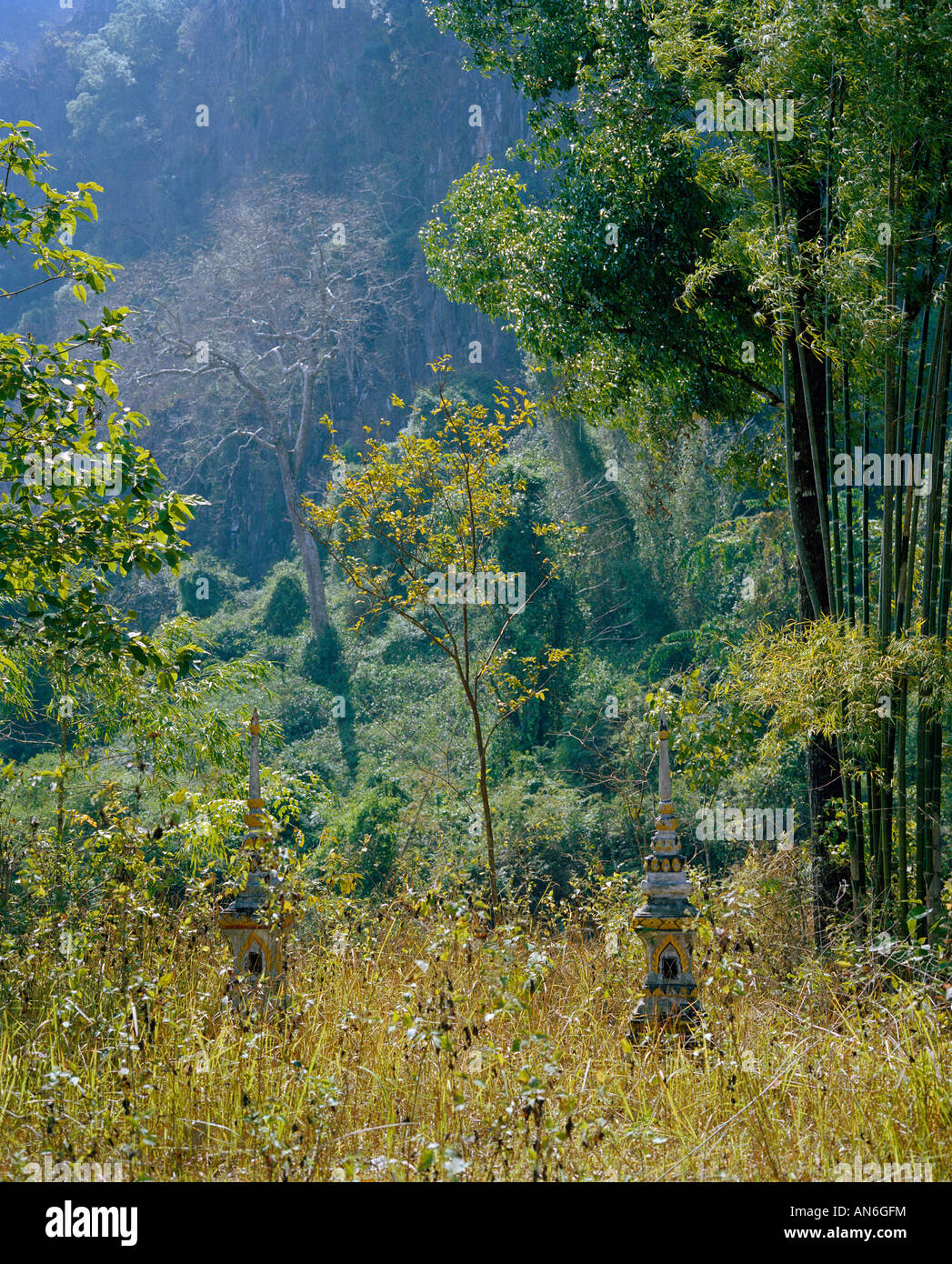 Dschungel mit zugewachsenen kleinen Stupas bei Sala Hinboun Khammouane jungle with overgrown little stupas Stock Photo