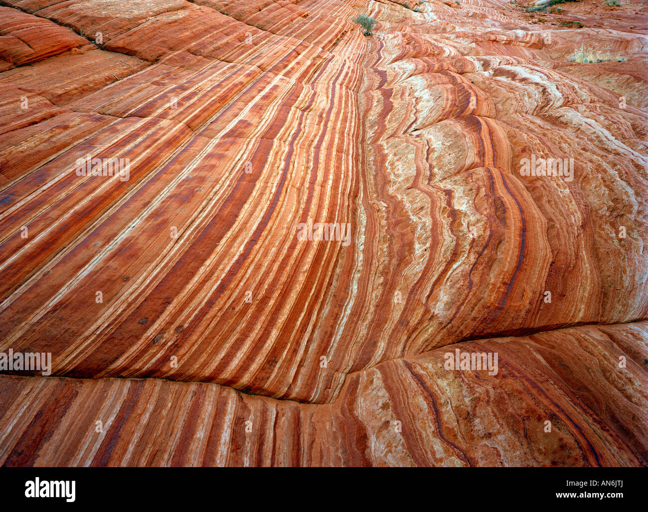 gestreifte rote Gesteinsschichten im Grand Staircase Escalante National Monument Striped red rock formation Stock Photo