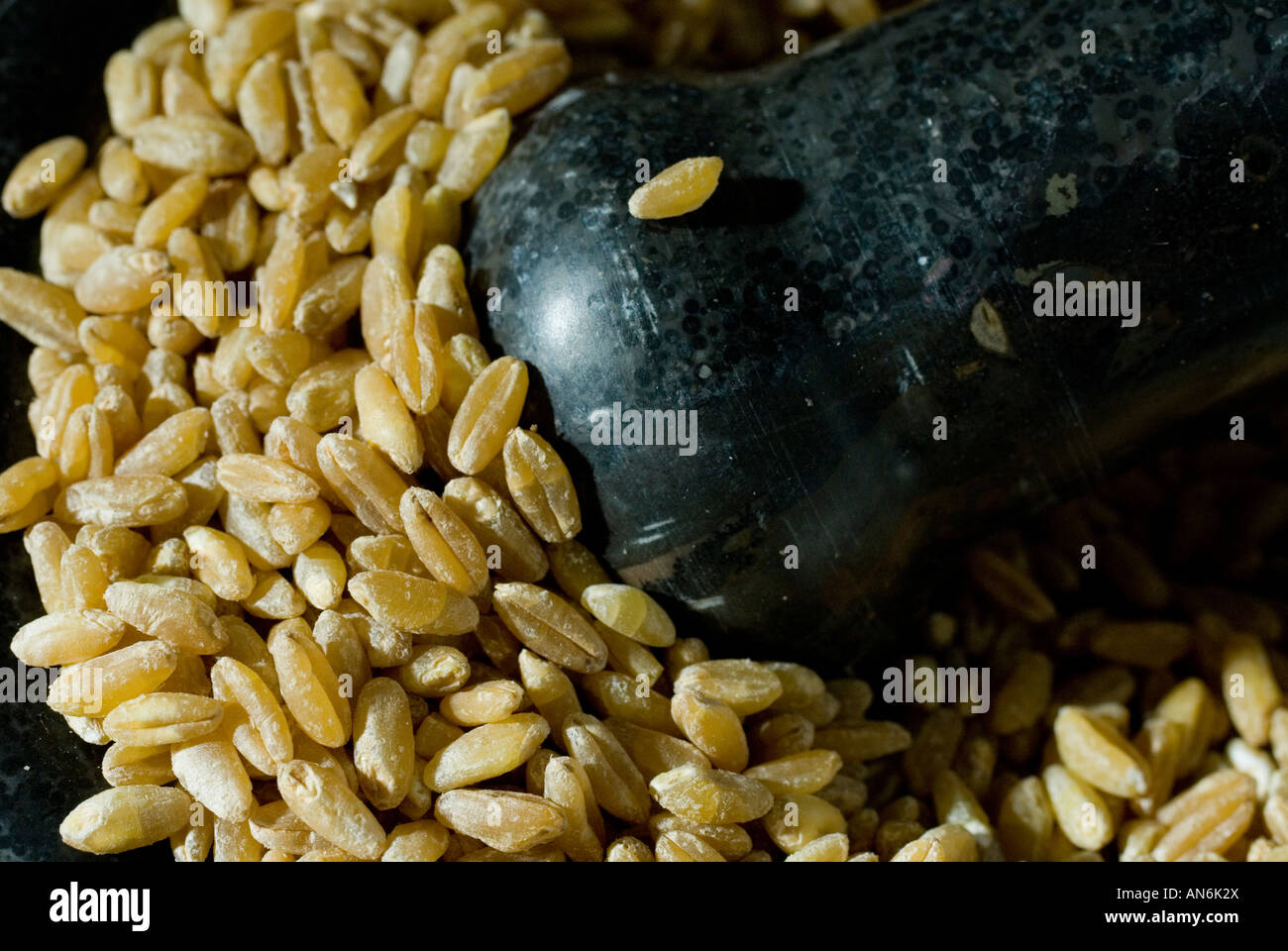 Wheat grain with Pestle and Mortar Stock Photo Alamy