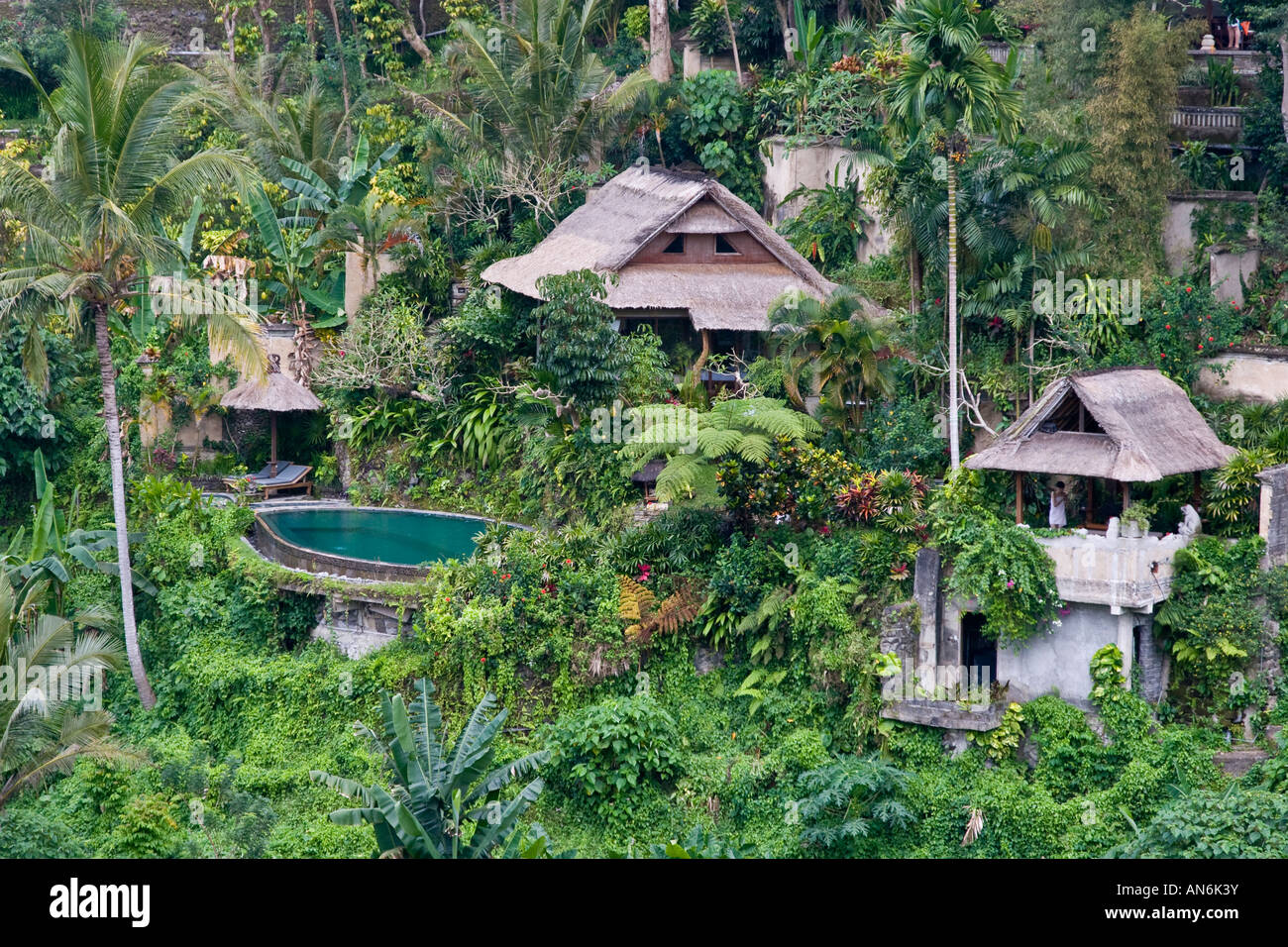 Luxury Hotel Set in the Jungle Ubud Bali Indonesia Stock Photo - Alamy
