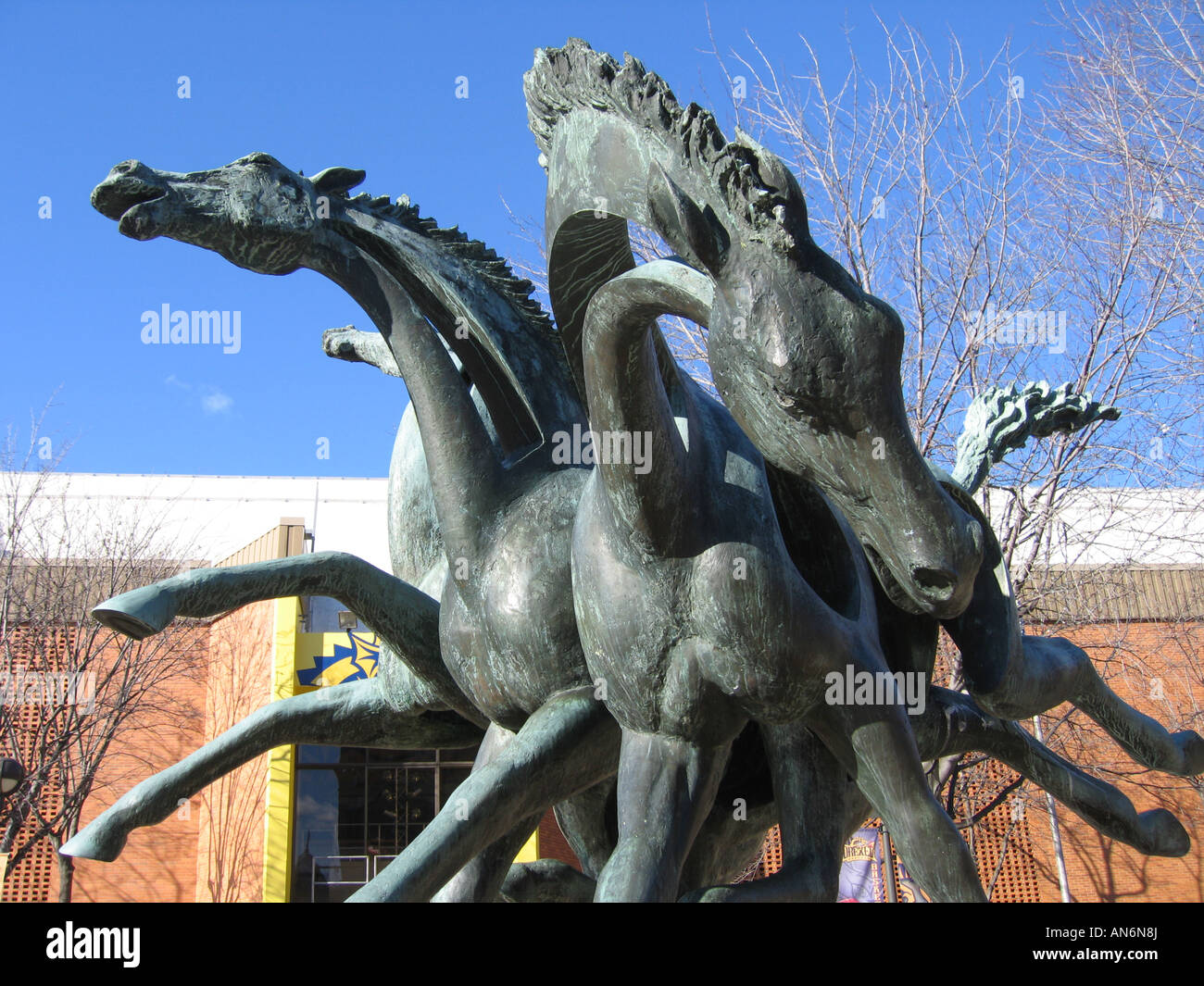 Running Free horse sculpture by Henry Mitchell 1971 on the campus of