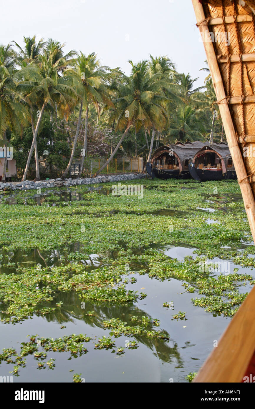 View from a houseboat cruising the backwaters of Kerala Stock Photo