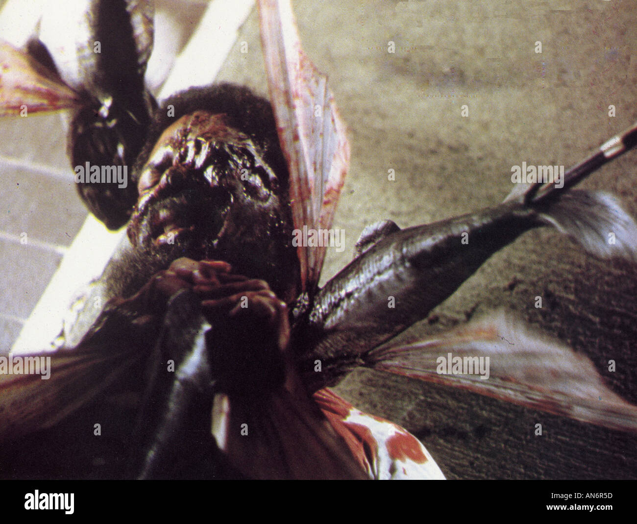 Piranha 2 Film Complet En Français PIRANHA II THE SPAWNING 1982 sequel to a 1978 film Stock Photo: 5037916