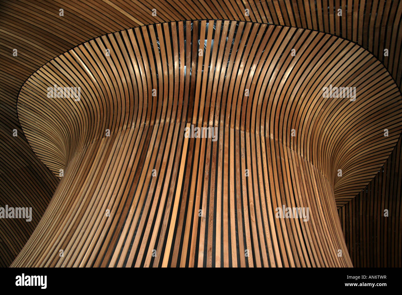 The intricate woodwork of the eco-friendly Welsh Assembly building, Cardiff Bay, Cardiff, Wales Stock Photo