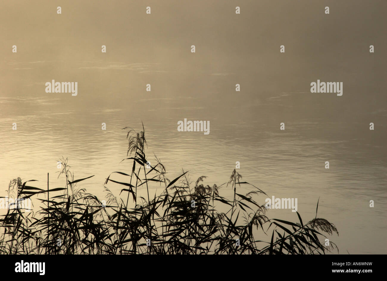 The misty River Wye at Tintern, Monmouthshire, South Wales, UK Stock ...