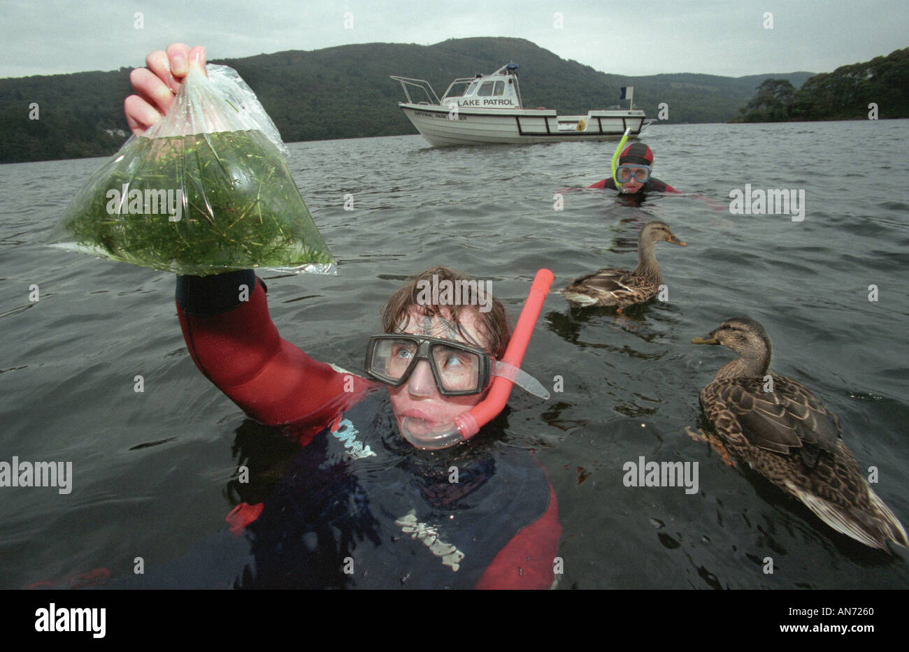 Lake Windermere water sampling Stock Photo Alamy