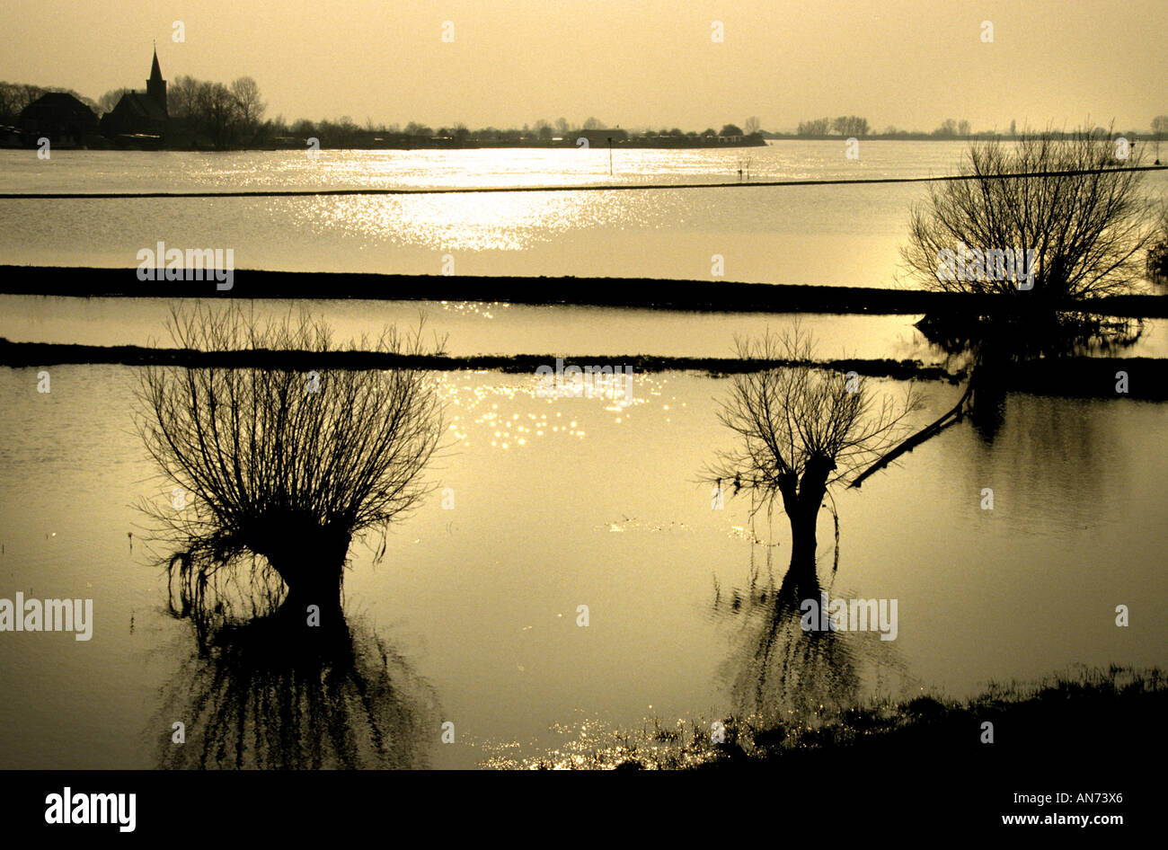 Deventer Overijssel IJssel Netherlands Holland    overflow river flood inundation tree Stock Photo