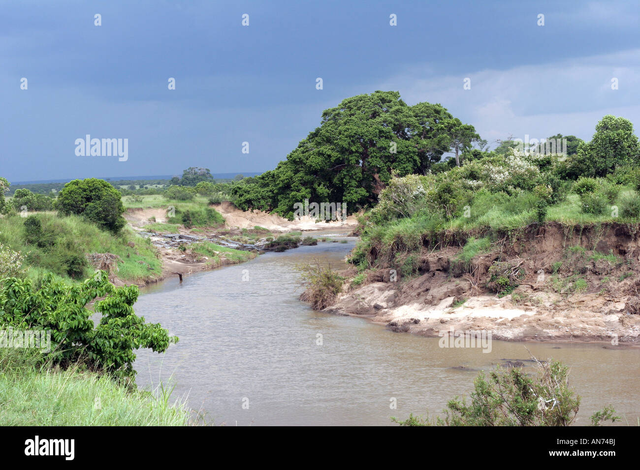 Mara of the wilderness hi-res stock photography and images - Alamy