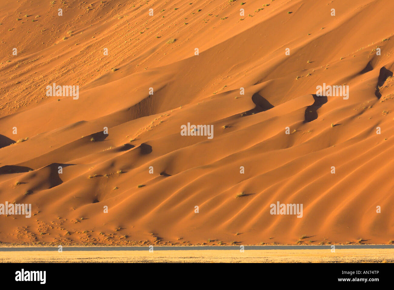 Red sand dune in Namib Desert Sossusvlei Namib Naukluft National Park ...