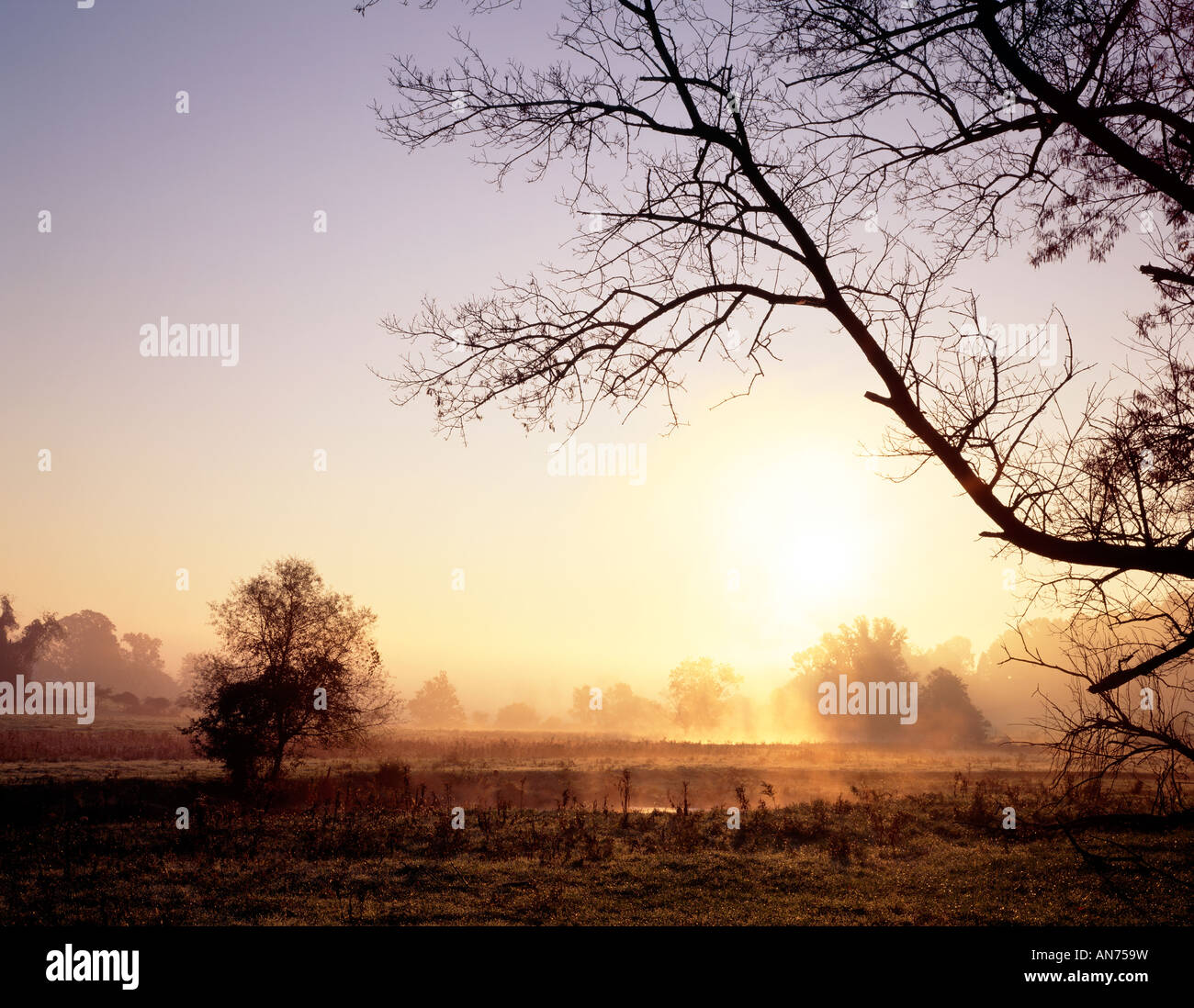 Misty Sunrise Above Fields In The Brandywine Valley, Chester County, Pennsylvania, Usa., Stock Photo