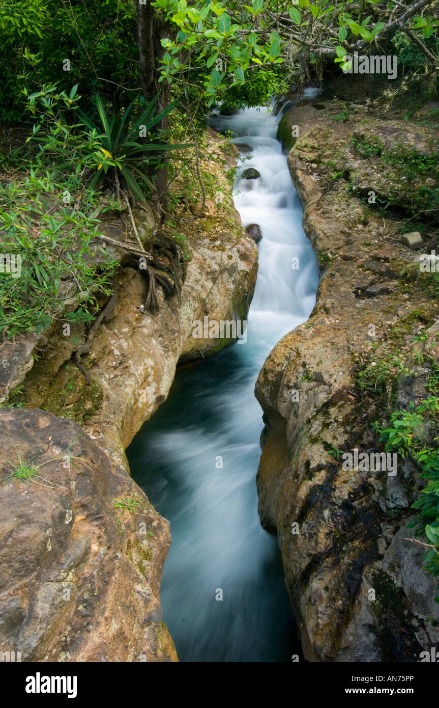 Rio Blanco Hacienda Guachipelin, Rincon de la Vieja, COSTA RICA