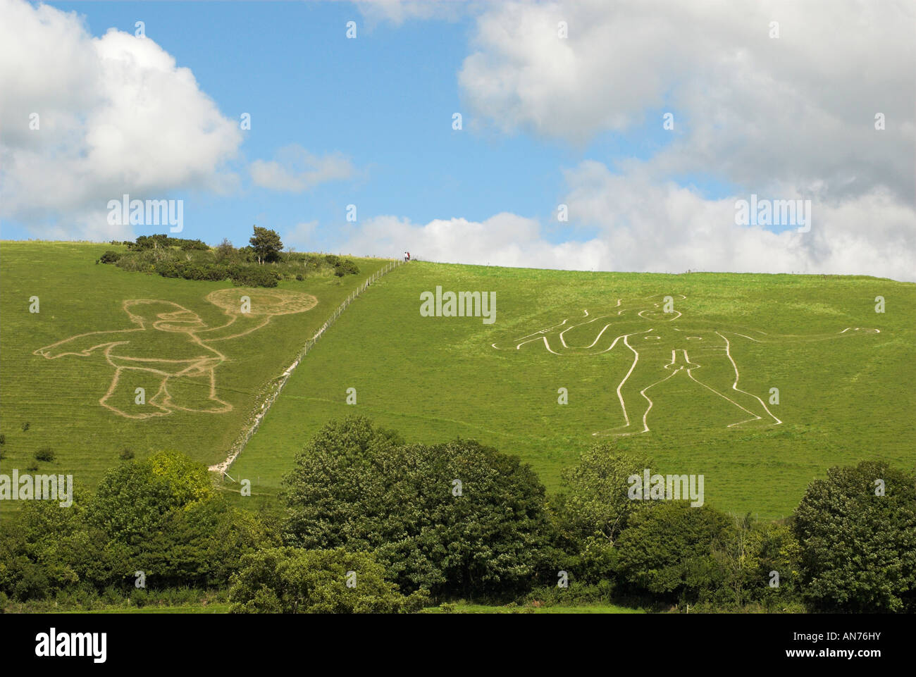The Cerne Abbas Giant with the cartoon character of Homer Simpson. Stock Photo
