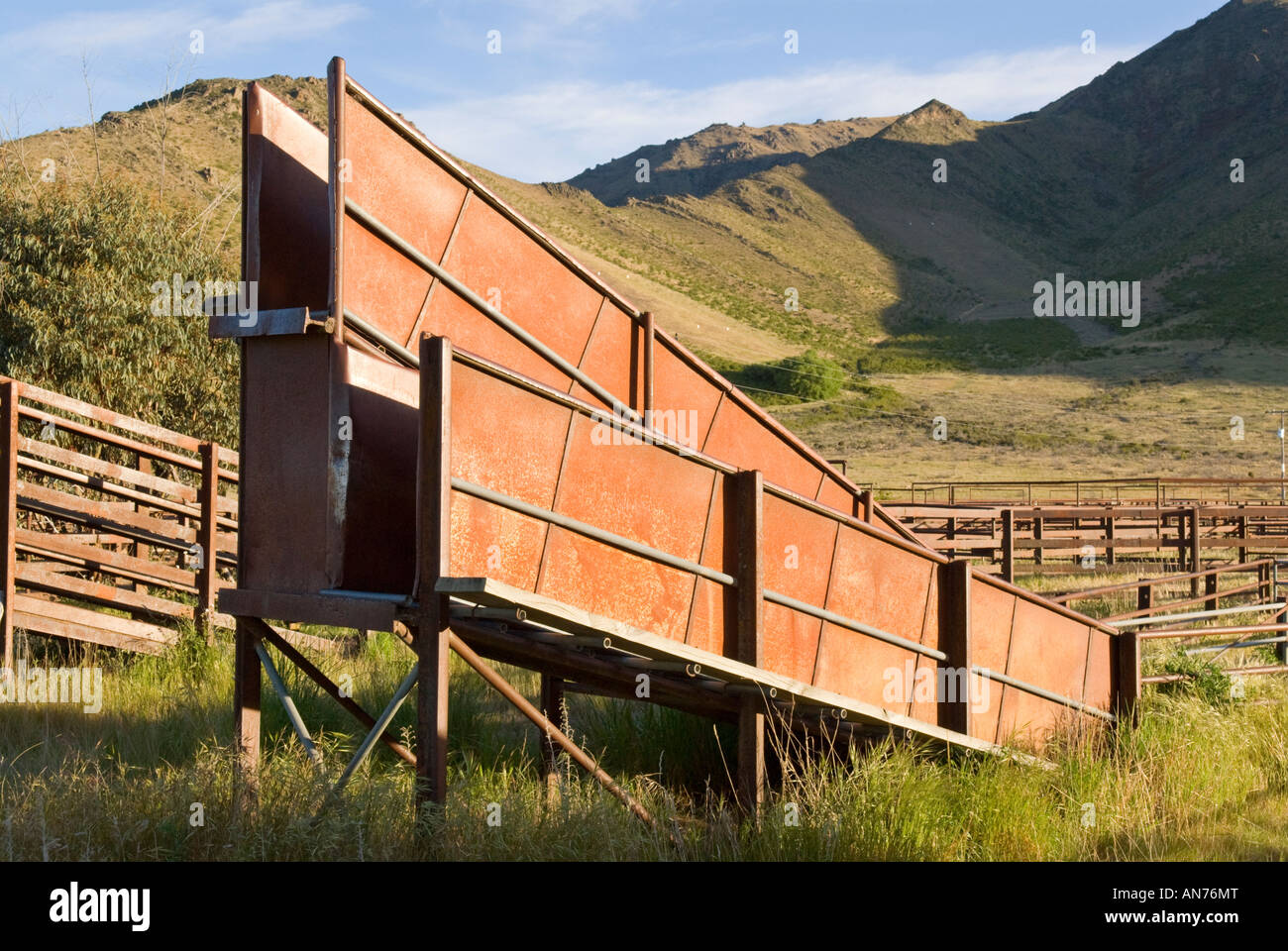 Cattle ramp hi-res stock photography and images - Alamy