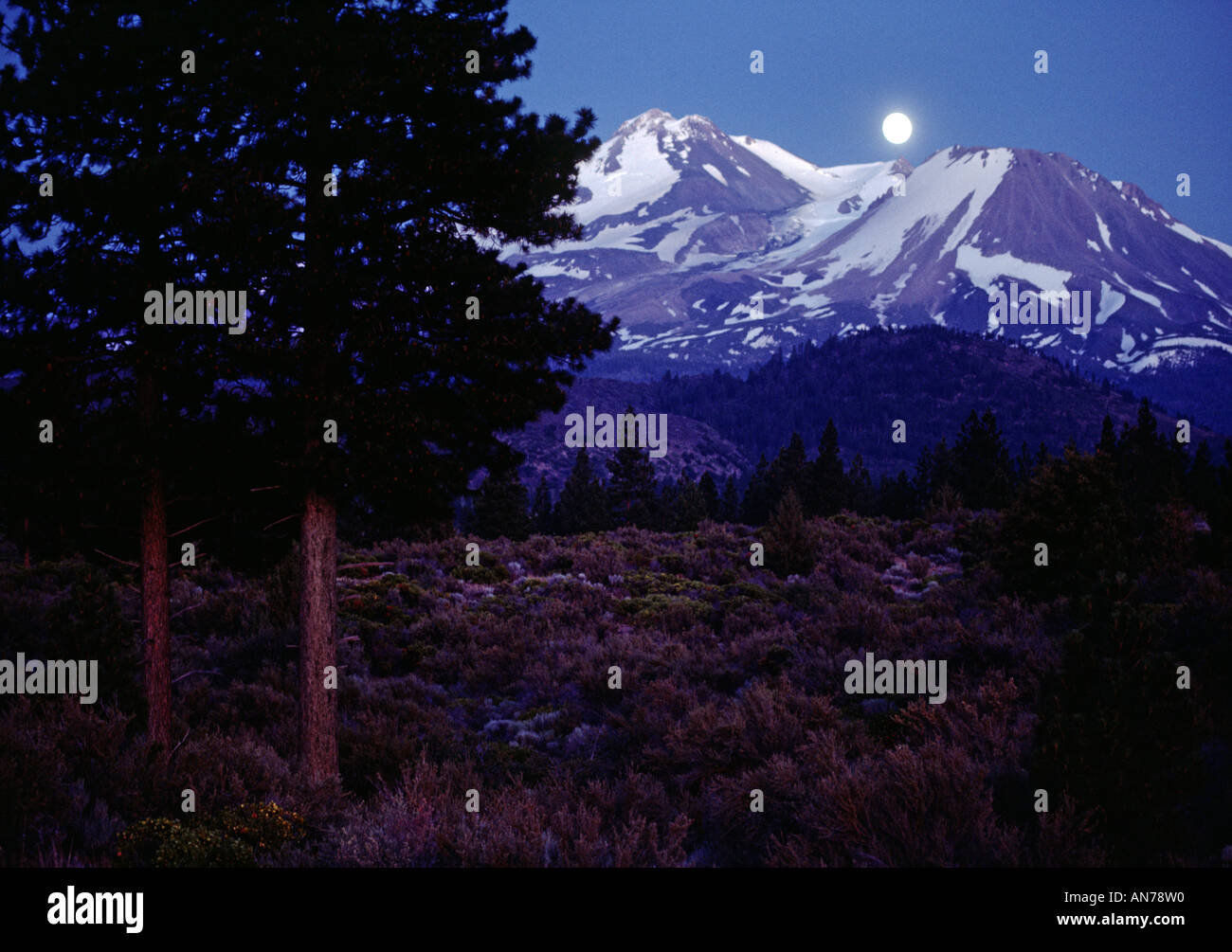 MOUNT SHASTA one of the CASCADE