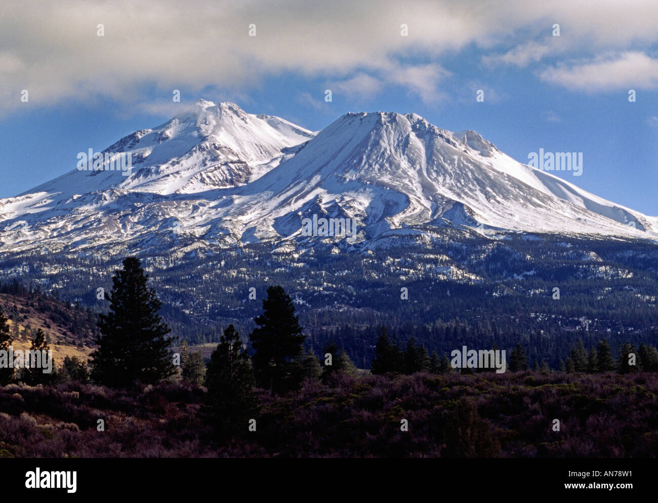 MOUNT SHASTA one of the CASCADE