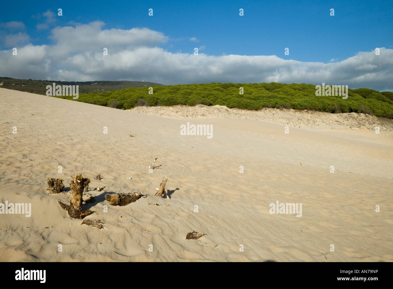 Landscape from Bolonia beach (Cádiz, Spain) Stock Photo