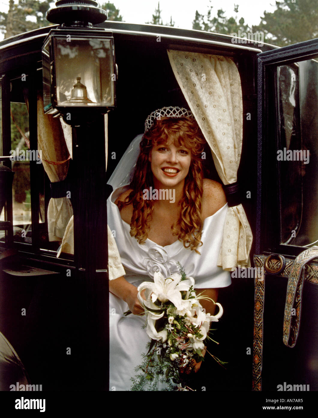 Bride in a horse carriage MODEL RELEASED Stock Photo