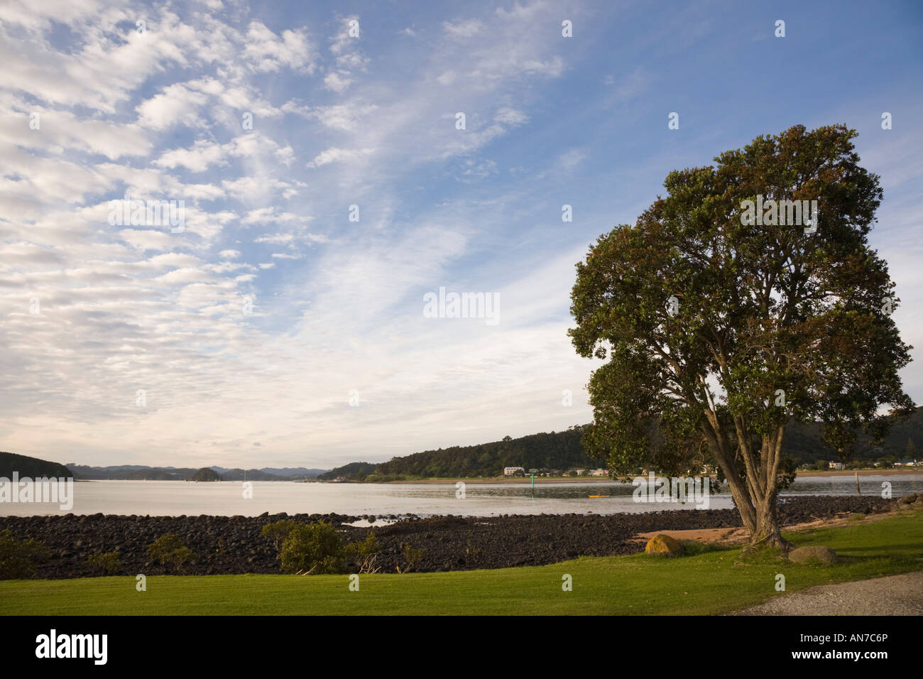 Shore with tree and coastal landscape view across calm sea water of Bay of Islands in early morning light Waitangi New Zealand Stock Photo