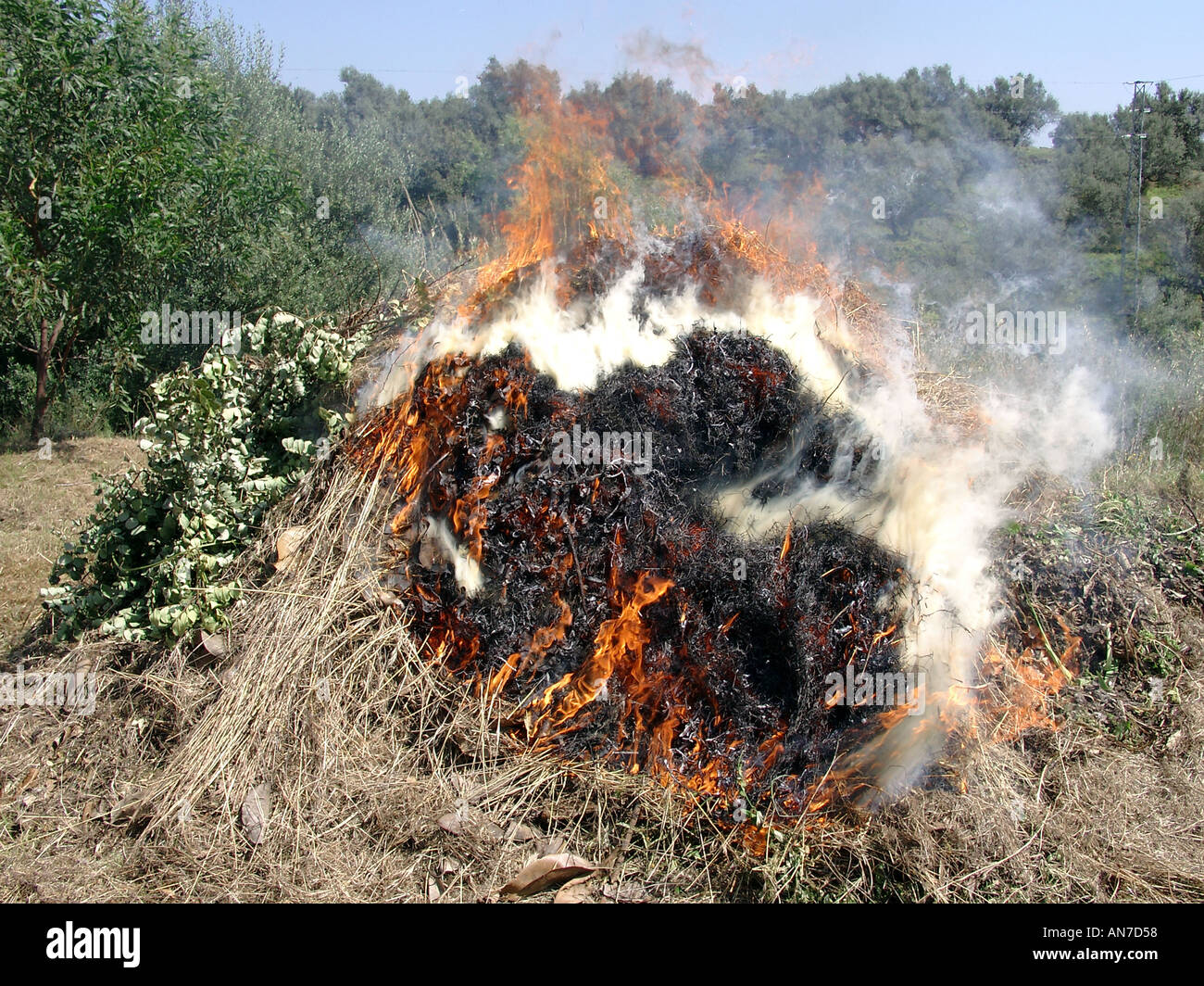 Burning Weeds High Resolution Stock Photography and Images Alamy