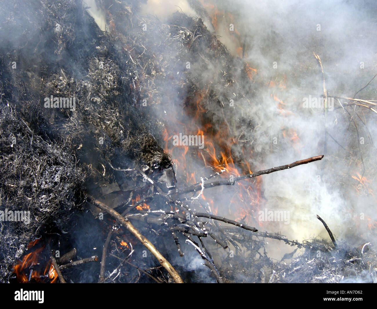 smoky garden bonfire fire flame flames flaming fire burn burns burning