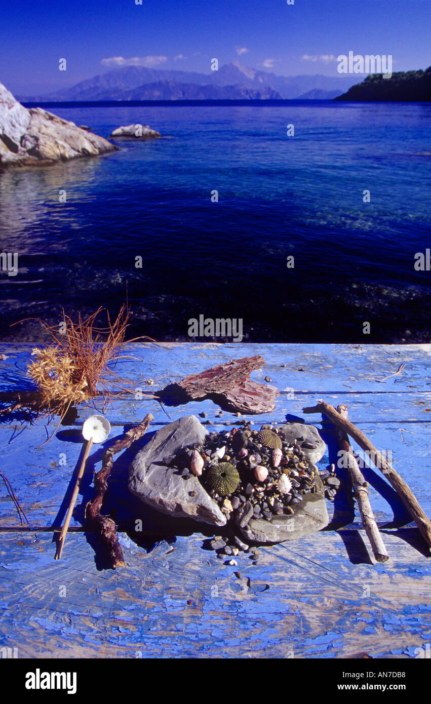 Water worn shells hi-res stock photography and images - Alamy