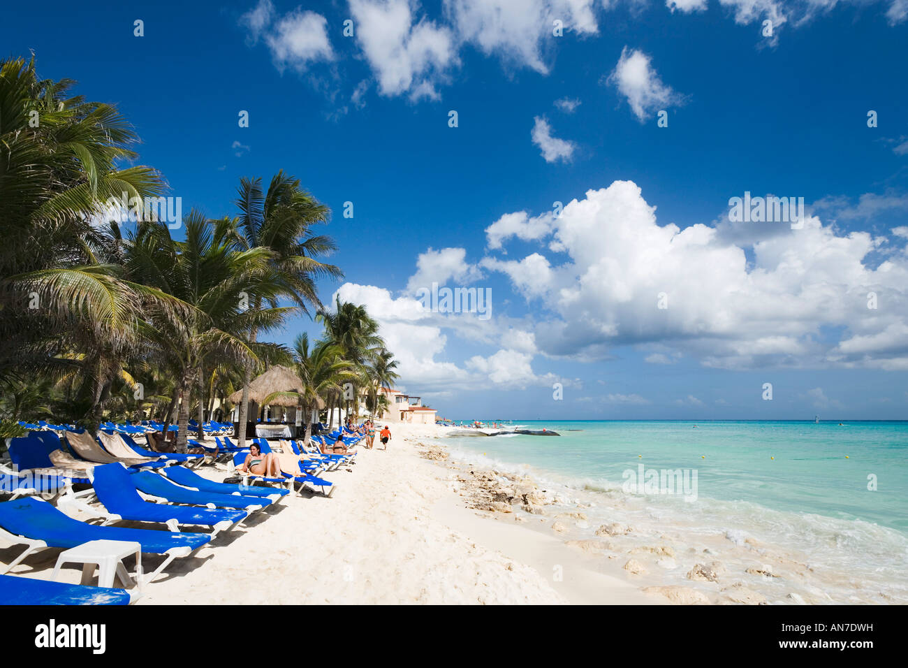 playa del carmen riu palace riviera maya playa del carmen riu palace riviera maya