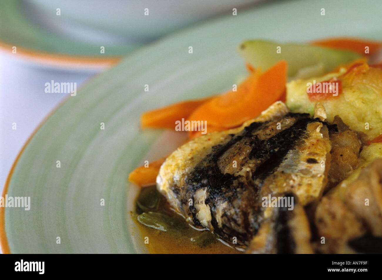 Flying fish caribbean hires stock photography and images Alamy