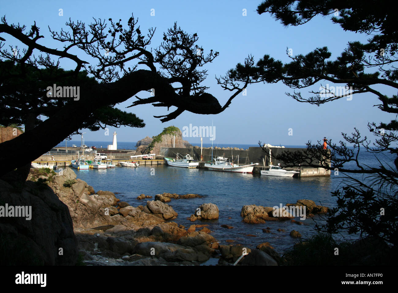 Shikinejima Port Pines Stock Photo