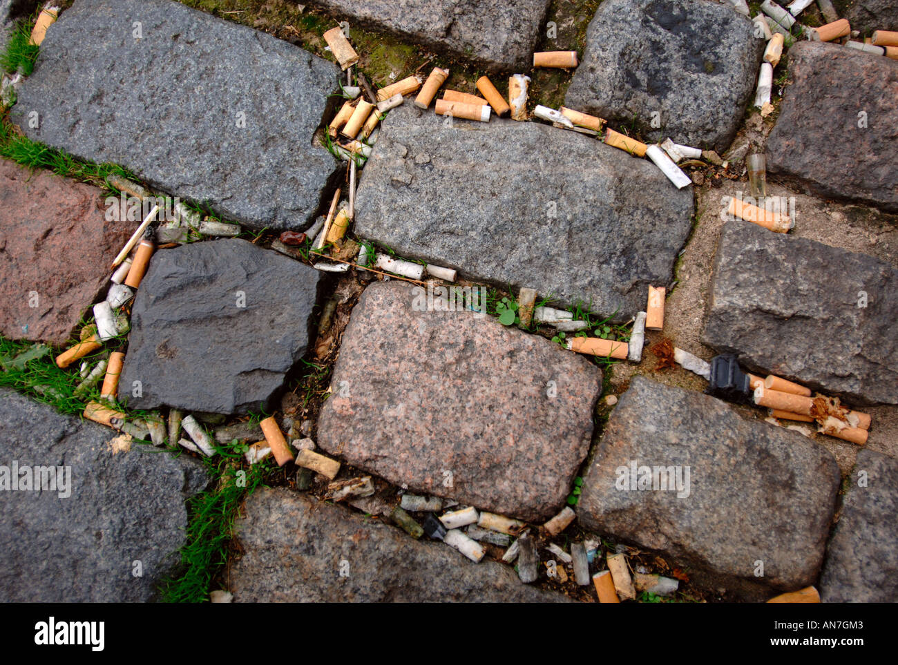 Dropped Cigarette Butts High Resolution Stock Photography and Images ...