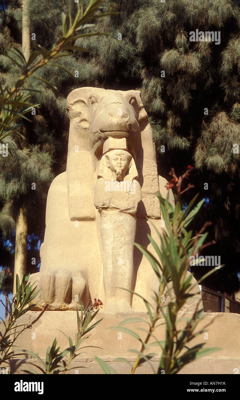 Ram Headed Cryosphinxes Outside Karnak Temple Stock Photo - Alamy