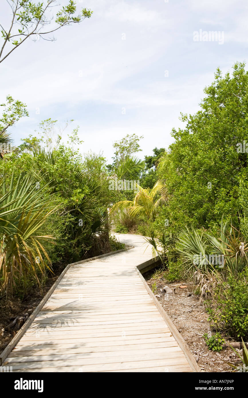 Pathway Bowmans Beach Sanibel Island Florida Stock Photo