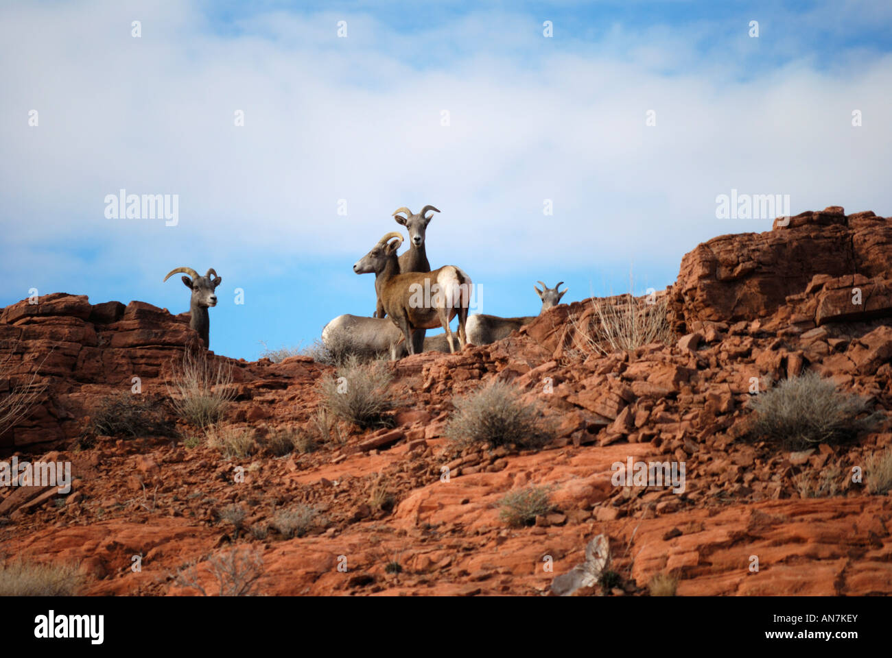 Valley of Fire State Park. Stock Photo