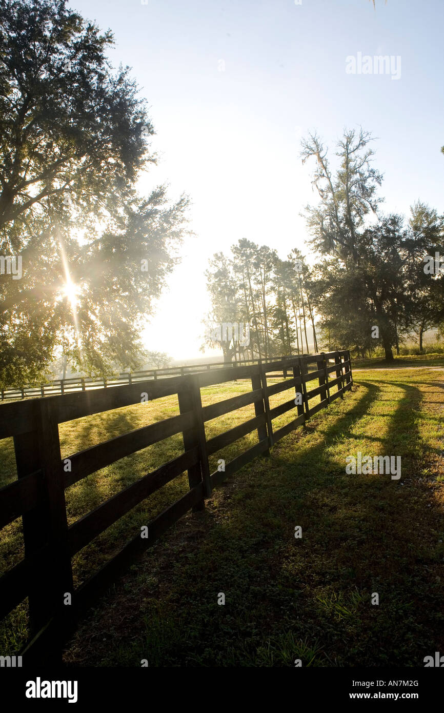 Hampton Island Preserve Stock Photo Alamy