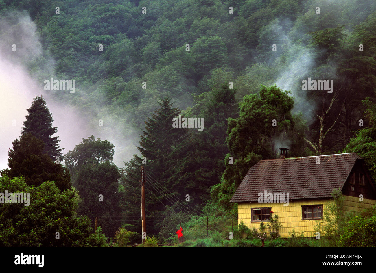 Temperate rain forest village house Stock Photo - Alamy