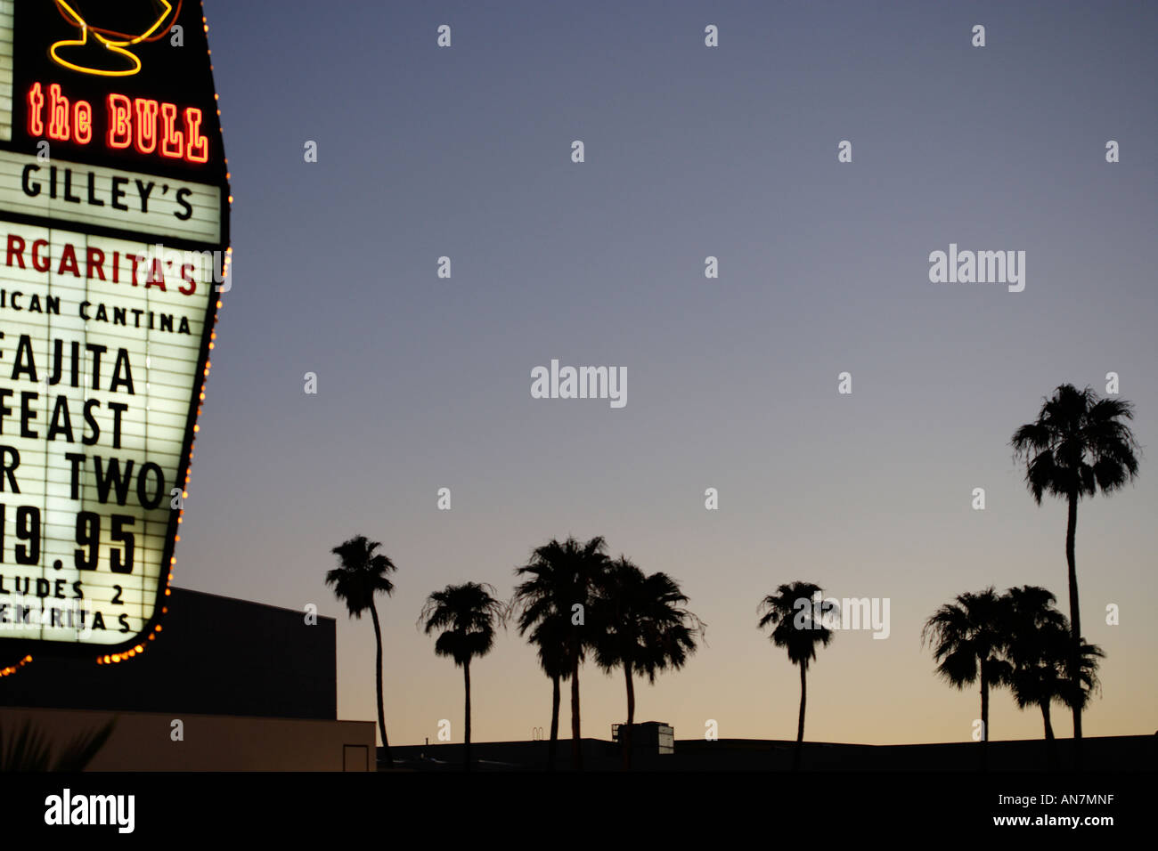 Las Vegas view palm trees at sunset and Casino sign Stock Photo