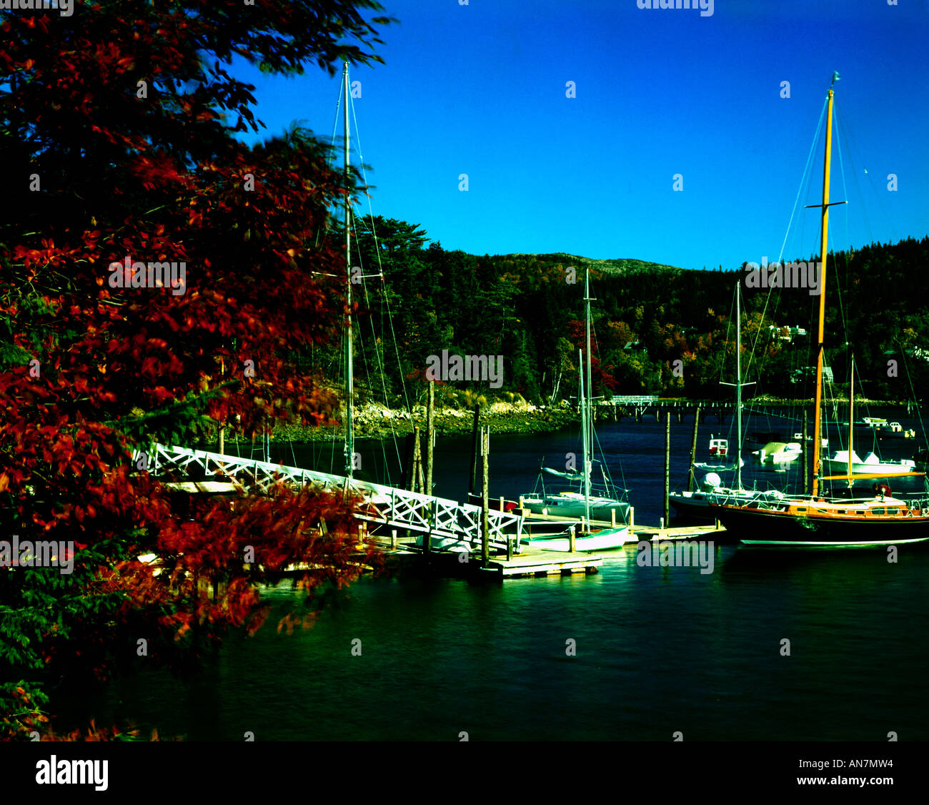 Small boat harbor located at Northeast Harbor on the Coast of Maine ...