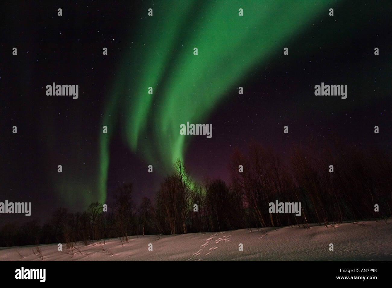 Aurora borealis or northern lights moving across night sky within the ...