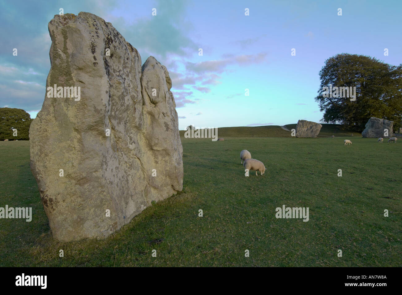 Standing stones Avebury Wiltshire UK Stock Photo