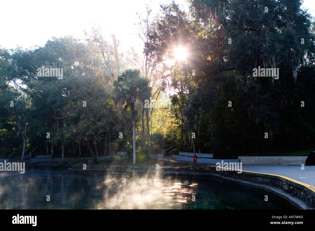 Wekiva Springs Florida Stock Photo Alamy