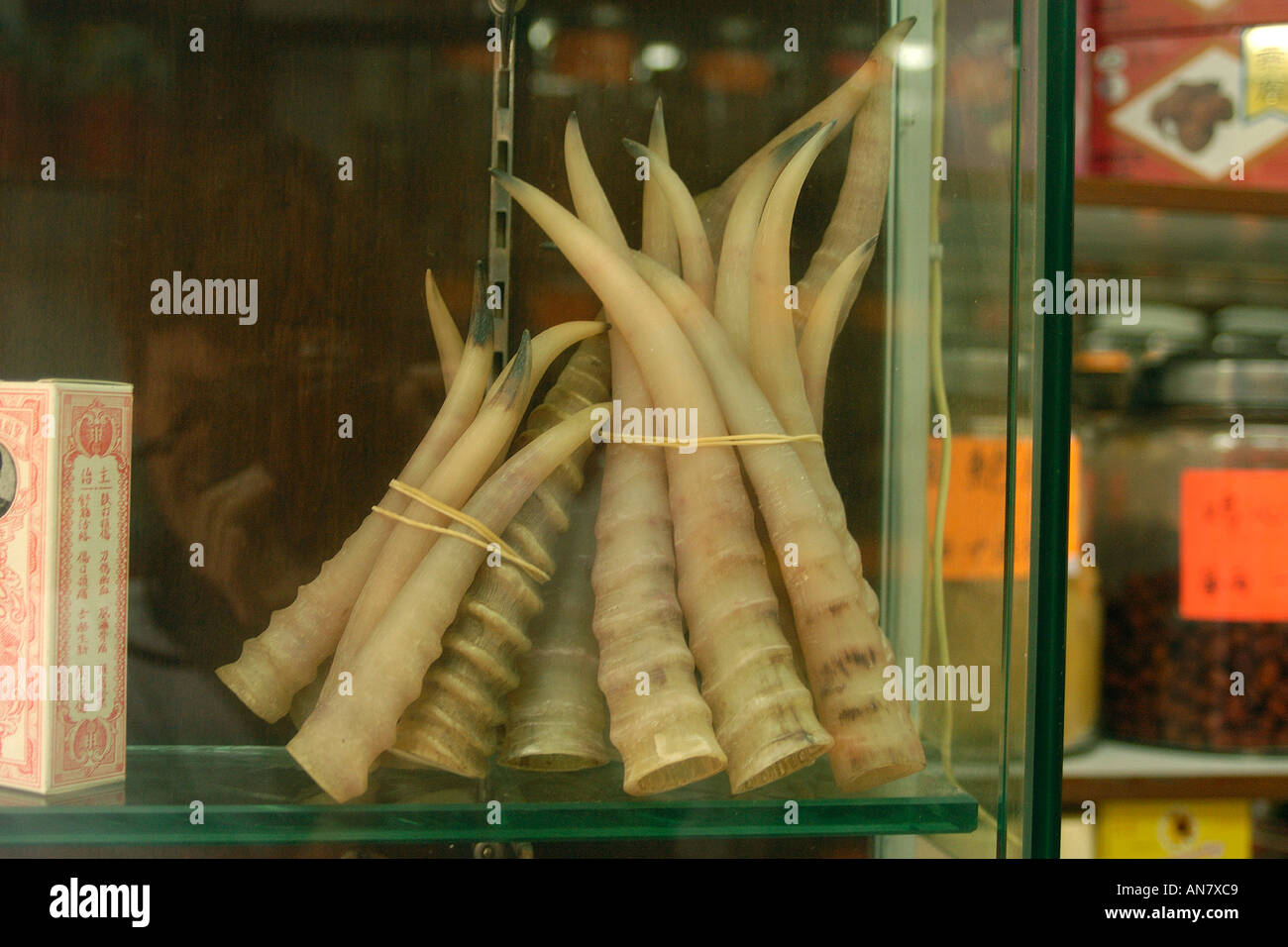 Animal horns on display in traditional chinese medicine store Macau China Stock Photo Alamy