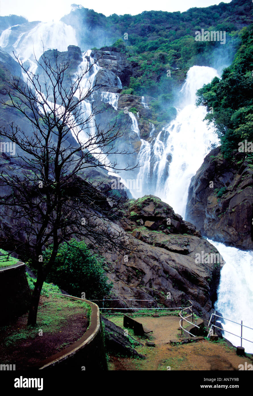 Dudhsagar falls goa india hi-res stock photography and images - Alamy Dudhsagar falls goa india hi-res stock photography and images - Alamy