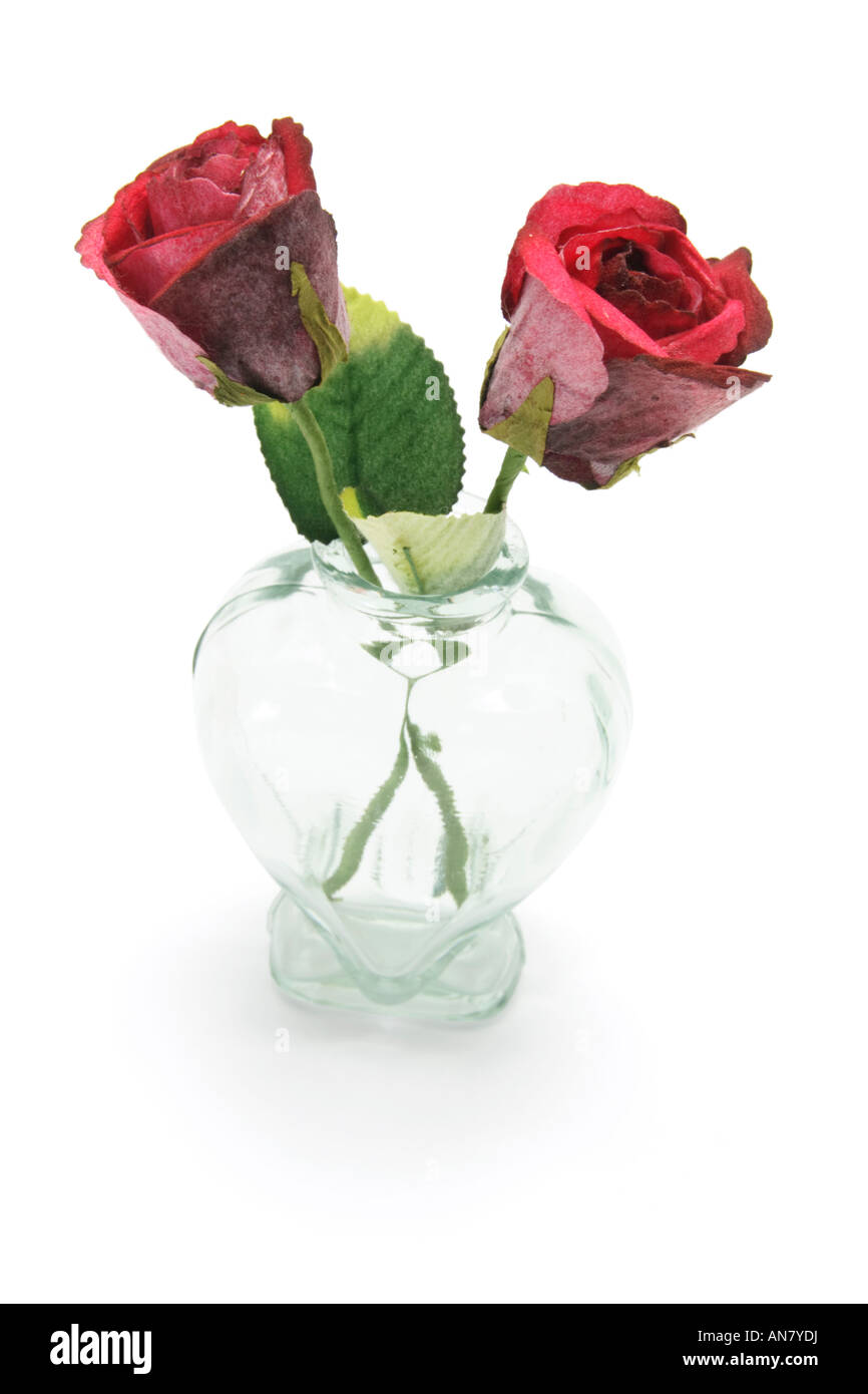 Red Roses in Vase on White Background Stock Photo - Alamy