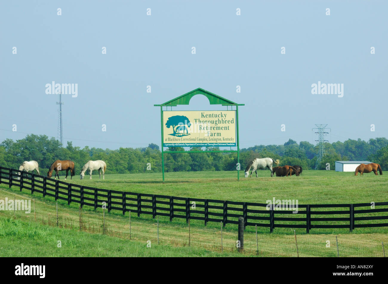 Kentucky Thoroughbred Retirement Farm Stock Photo Alamy