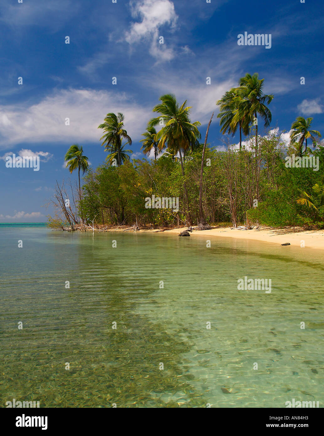 Tropical beach at Bon Accord Lagoon Tobago Stock Photo - Alamy
