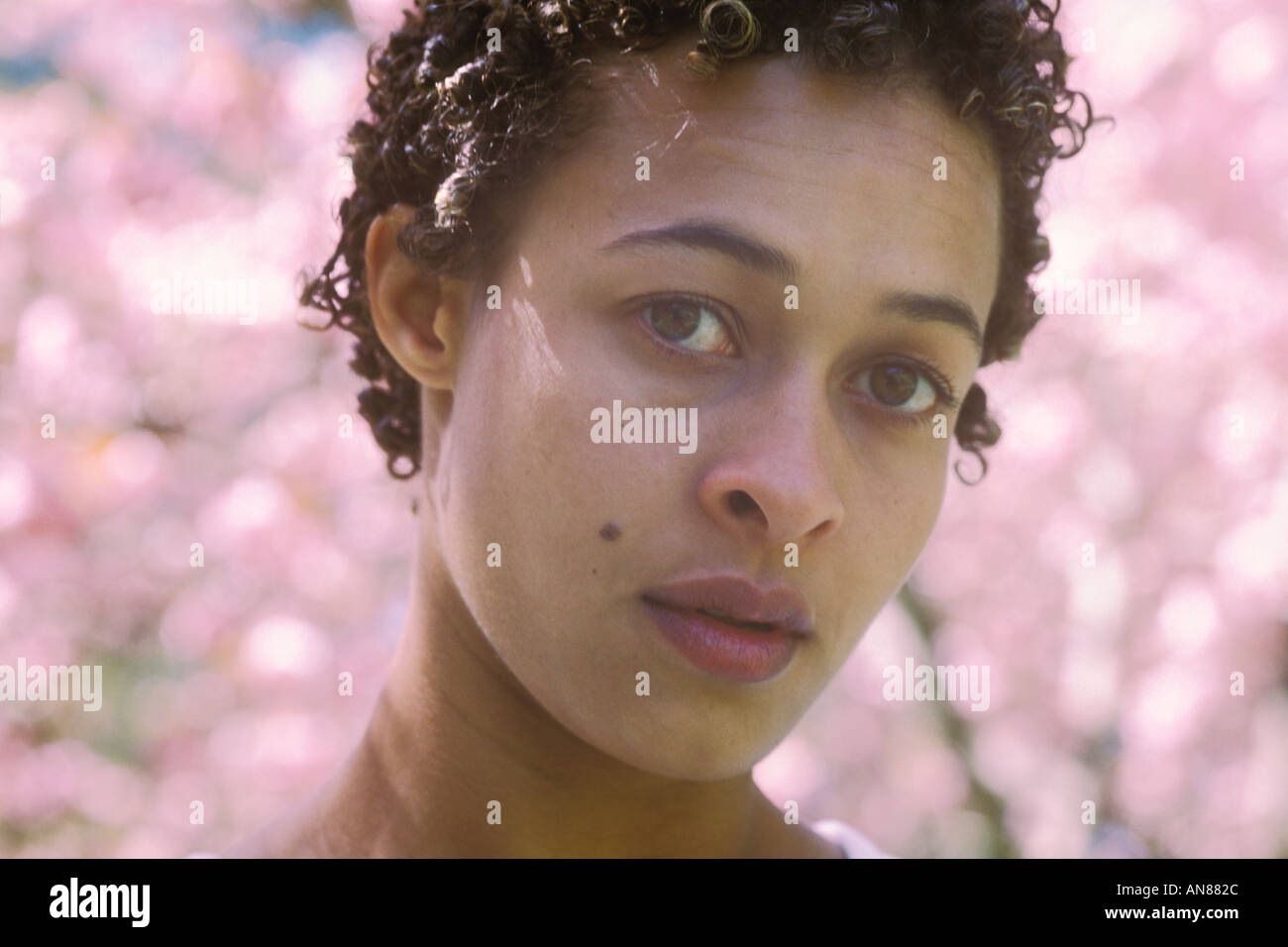23 year old mixed Caucasian African American female in park with cherry blossoms background Stock Photo
