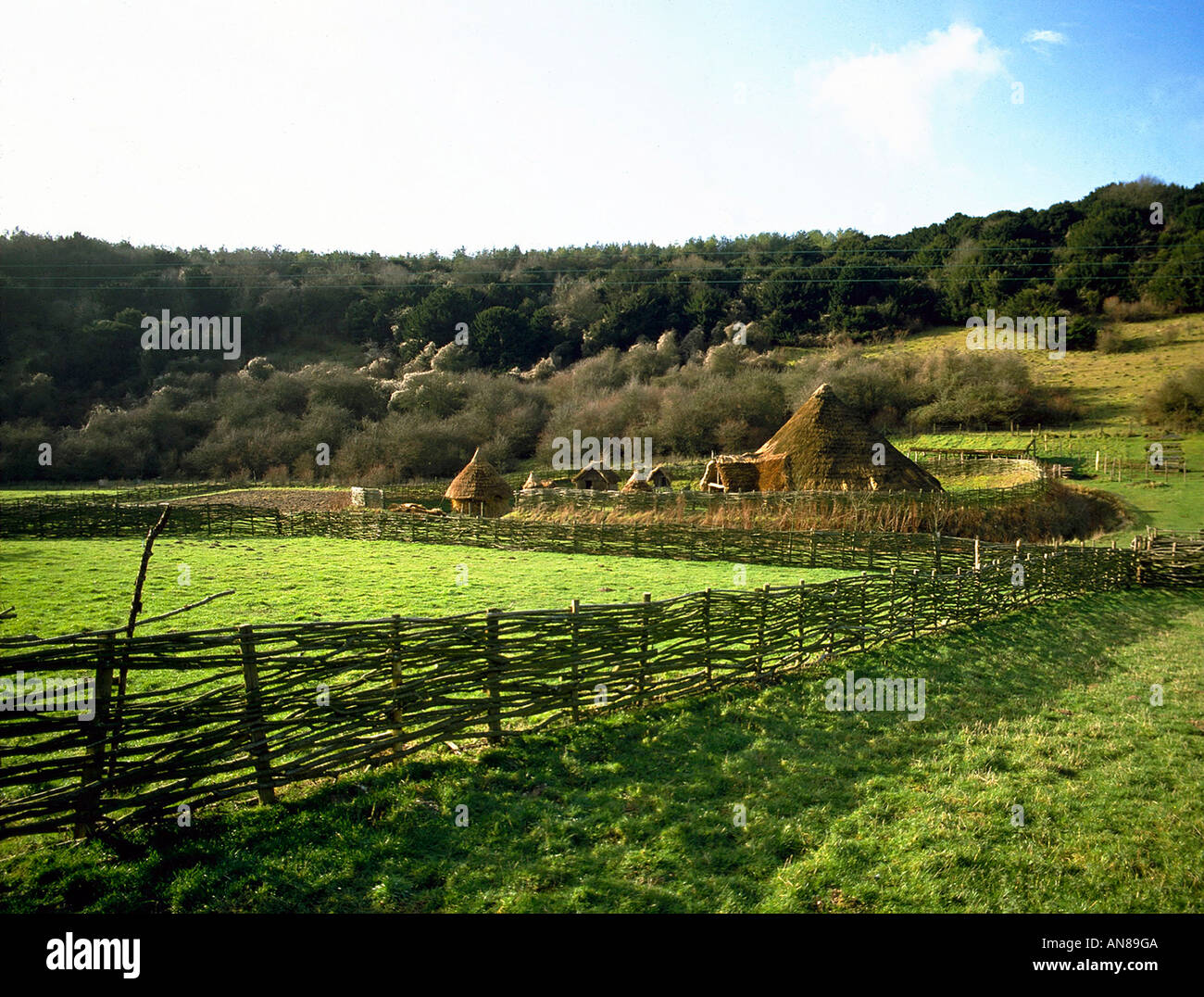 The reconstructed Iron Age farm below Butser Hill at the Queen