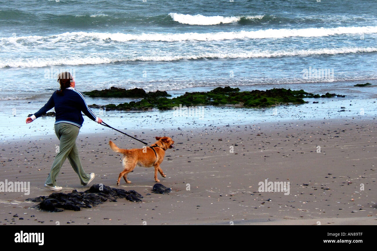 Woman walking dog briskly on beach at Portmarnock Ireland Stock Photo
